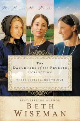 Zbierka Dcéry zasľúbenia: Jednoduchý sľub / Jednoduchý raj / Jednoduchý návrh - The Daughters of the Promise Collection: Plain Promise/Plain Paradise/Plain Proposal