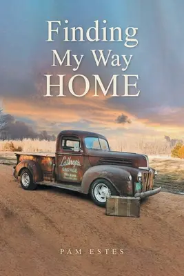 Hľadanie cesty domov - Finding My Way Home