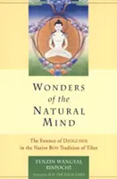 Zázraky prirodzenej mysle: Podstata dzogčhenu v pôvodnej tibetskej tradícii bon - Wonders of the Natural Mind: The Essense of Dzogchen in the Native Bon Tradition of Tibet