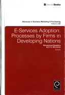 Prijímanie elektronických služieb: Procesy v podnikoch v rozvojových krajinách - E-Services Adoption: Processes by Firms in Developing Nations