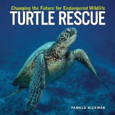 Záchrana korytnačiek: Zmeny v budúcnosti ohrozených voľne žijúcich živočíchov - Turtle Rescue: Changing the Future for Endangered Wildlife