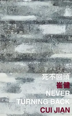 Nikdy sa nevracať späť - Never Turning Back