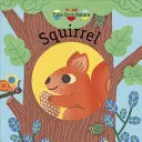 Veverička - Squirrel