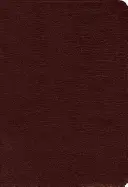Amplified Bible-Am-Large Print (Rozšírená Biblia vo veľkom formáte): BIBLIOGRAFICKÁ KNIHA: Veľká verzia: zachytáva plný význam pôvodnej gréčtiny a hebrejčiny - Amplified Bible-Am-Large Print: Captures the Full Meaning Behind the Original Greek and Hebrew