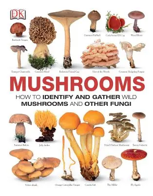 Huby: Ako identifikovať a zbierať divoké huby a iné huby - Mushrooms: How to Identify and Gather Wild Mushrooms and Other Fungi
