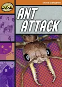 Rýchle čítanie: Útok mravcov (etapa 4, úroveň 4B) - Rapid Reading: Ant Attack (Stage 4, Level 4B)