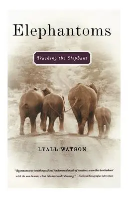 Sloníčatá: Stopovanie slona - Elephantoms: Tracking the Elephant