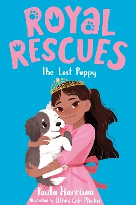 Kráľovské záchrany #2: Stratené šteňa - Royal Rescues #2: The Lost Puppy