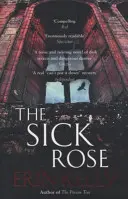 Chorá ruža - Sick Rose