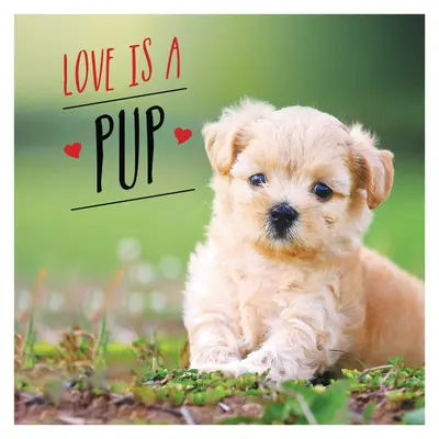 Láska je šteniatko: A Dog-Tastic Celebration of the World's Cutest Puppies - Psí oslava najroztomilejších šteniat na svete - Love Is a Pup: A Dog-Tastic Celebration of the World's Cutest Puppies