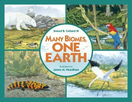 Mnoho biómov, jedna Zem Obchodná kniha - Many Biomes, One Earth Trade Book