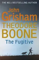 Theodore Boone: Utečenec - Theodore Boone 5 - Theodore Boone: The Fugitive - Theodore Boone 5