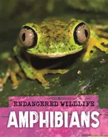 Ohrozené voľne žijúce živočíchy: Záchrana obojživelníkov - Endangered Wildlife: Rescuing Amphibians