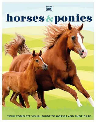 Kone a poníky - Horses & Ponies