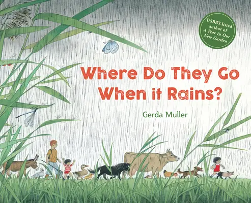 Kam idú, keď prší? - Where Do They Go When It Rains?