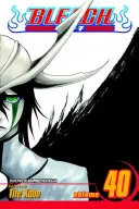 Bleach, zv. 40, 40 - Bleach, Vol. 40, 40