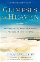 Záblesky neba: Skutočné príbehy o nádeji a pokoji na konci životnej cesty - Glimpses of Heaven: True Stories of Hope and Peace at the End of Life's Journey