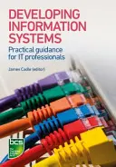 Vývoj informačných systémov: Praktický návod pre odborníkov v oblasti informačných technológií - Developing Information Systems: Practical Guidance for It Professionals