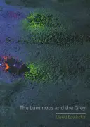 Svetlý a sivý - The Luminous and the Grey
