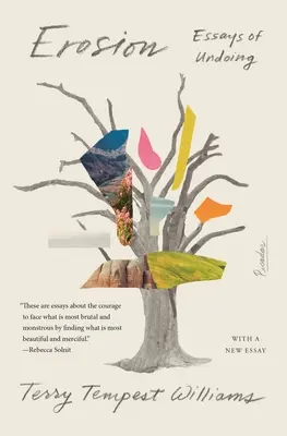 Erózia: Eseje o zničení - Erosion: Essays of Undoing