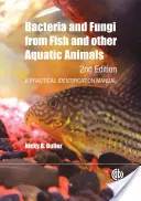 Baktérie a huby rýb a iných vodných živočíchov: Praktická identifikačná príručka - Bacteria and Fungi from Fish and Other Aquatic Animals: A Practical Identification Manual