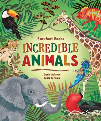 Bosé knihy Neuveriteľné zvieratá - Barefoot Books Incredible Animals