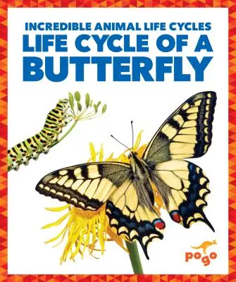 Životný cyklus motýľa - Life Cycle of a Butterfly