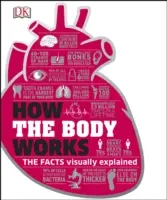 Ako funguje telo - fakty jednoducho vysvetlené - How the Body Works - The Facts Simply Explained
