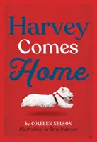 Harvey sa vracia domov - Harvey Comes Home
