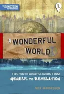 Nádherný svet: Kniha 1: Päť stretnutí pre mládežnícke skupiny od Genesis po Zjavenie Jána - A A Wonderful World: Book 1: Five Youth Group Sessions from Genesis to Revelation