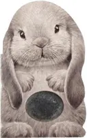 Chlpatý zajačik - Furry Bunny