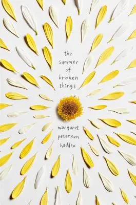Leto rozbitých vecí - The Summer of Broken Things
