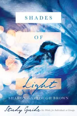 Odtiene svetla Študijná príručka - Shades of Light Study Guide