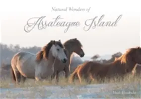 Prírodné divy ostrova Assateague - Natural Wonders of Assateague Island