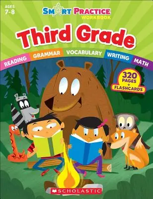 Pracovný zošit na precvičovanie šikovnosti: Trieda: 3. ročník - Smart Practice Workbook: Third Grade