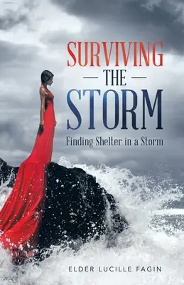 Prežiť búrku: Hľadanie útočiska v búrke - Surviving the Storm: Finding Shelter in a Storm