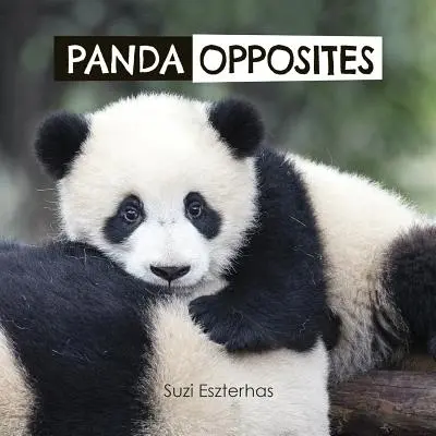Pandy protikladné - Panda Opposites