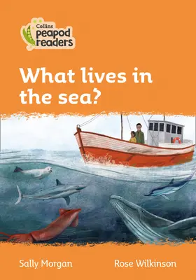 Úroveň 4 - Čo žije v mori? - Level 4 - What lives in the sea?