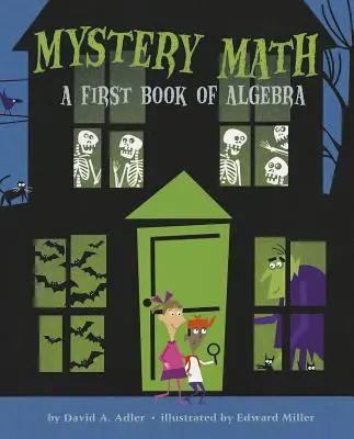 Záhadná matematika: Prvá kniha o algebre - Mystery Math: A First Book of Algebra