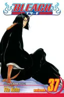 Bleach, zv. 37, 37 - Bleach, Vol. 37, 37