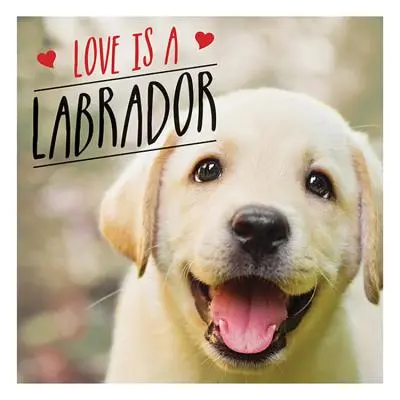 Láska je labrador - labradorská oslava najobľúbenejšieho psa na svete - Love is a Labrador - A Lab-Tastic Celebration of the World's Favourite Dog
