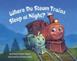 Kde spia parné vlaky v noci? - Where Do Steam Trains Sleep at Night?