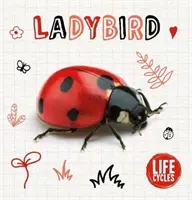 Berušky - Ladybird