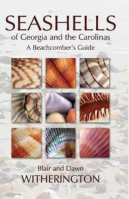 Mušle Georgie a Karolíny: Príručka pre milovníkov pláží - Seashells of Georgia and the Carolinas: A Beachcomber's Guide