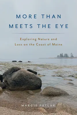 Viac než sa na prvý pohľad zdá: Skúmanie prírody a straty na pobreží štátu Maine - More Than Meets the Eye: Exploring Nature and Loss on the Coast of Maine