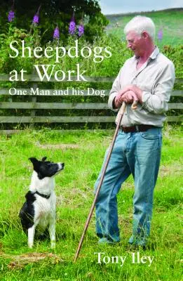 Ovčiarske psy v práci: Jeden muž a jeho psy - Sheepdogs at Work: One Man and His Dogs