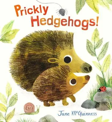 Pichľaví ježkovia! - Prickly Hedgehogs!