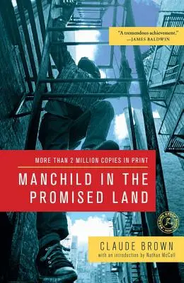 Mužské dieťa v zasľúbenej krajine - Manchild in the Promised Land
