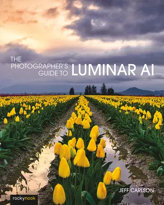 Sprievodca fotografa umelou inteligenciou Luminar - The Photographer's Guide to Luminar AI