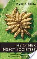 Ostatné hmyzie spoločnosti - The Other Insect Societies